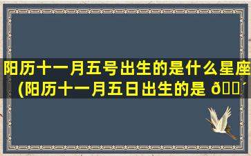 阳历十一月五号出生的是什么星座(阳历十一月五日出生的是 🐴 什么星座)